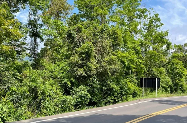 Sítio para venda,  Moreira, Três Coroas