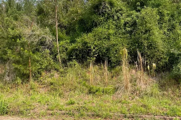 Terreno para venda,  Linha 28, Três Coroas