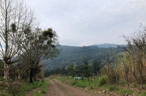 Sítio para venda, 4 quarto(s),  - Selecione - Bairro, Canela