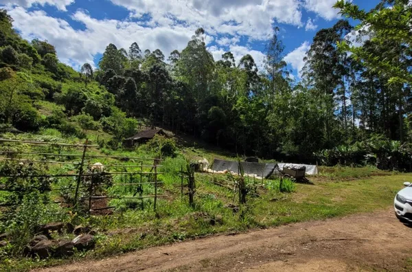 Sítio para venda, Linha Café Baixa, Três Coroas - Foto 19
