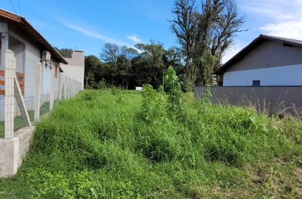 Terreno para venda,  Loteamento Stumpf, Três Coroas