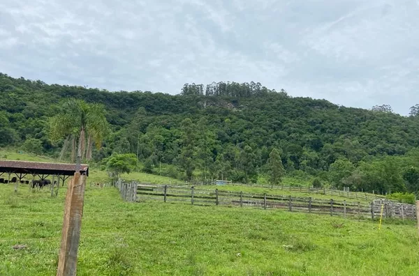 Sítio para venda,  Linha 28, Três Coroas