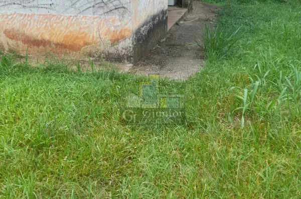 Chácara com 10mil mts², Itatuba, São Lourenço da Serra (SP) - Foto 5