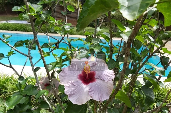 Maravilhoso Sítio com 128mil mts², Itatuba, São Lourenço da Serra (SP) - Foto 5