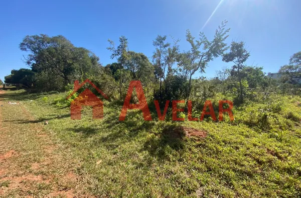 Terreno a venda Morada Nova - Foto 4