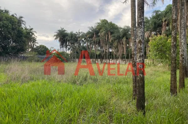 Terreno no Morada Nova