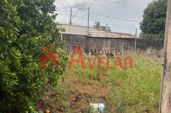 Terreno para venda, Santa Mônica, Uberlândia - Foto 15