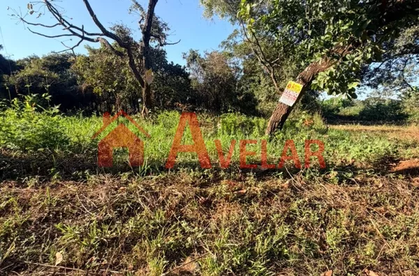 Terreno no Morada Nova - Ótima Localização