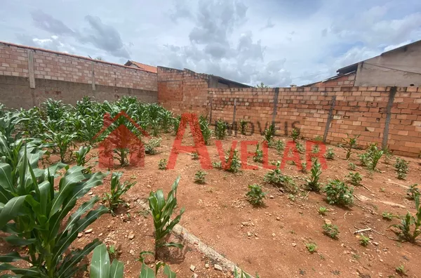 Excelente Terreno Plano Totalmente Murado e Com Portão