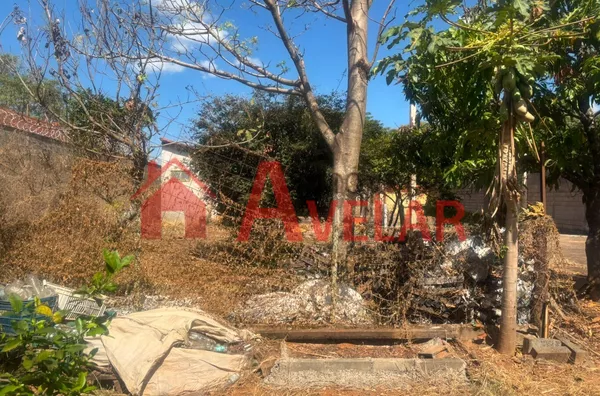Casa para venda, Morada Nova, Uberlândia - Foto 31