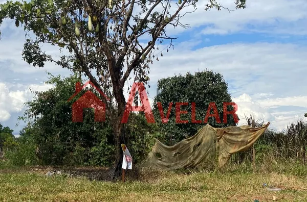 Terreno no Morada Nova 