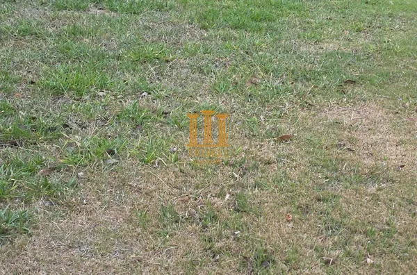 Terreno para venda,  Piracangaguá, Taubaté