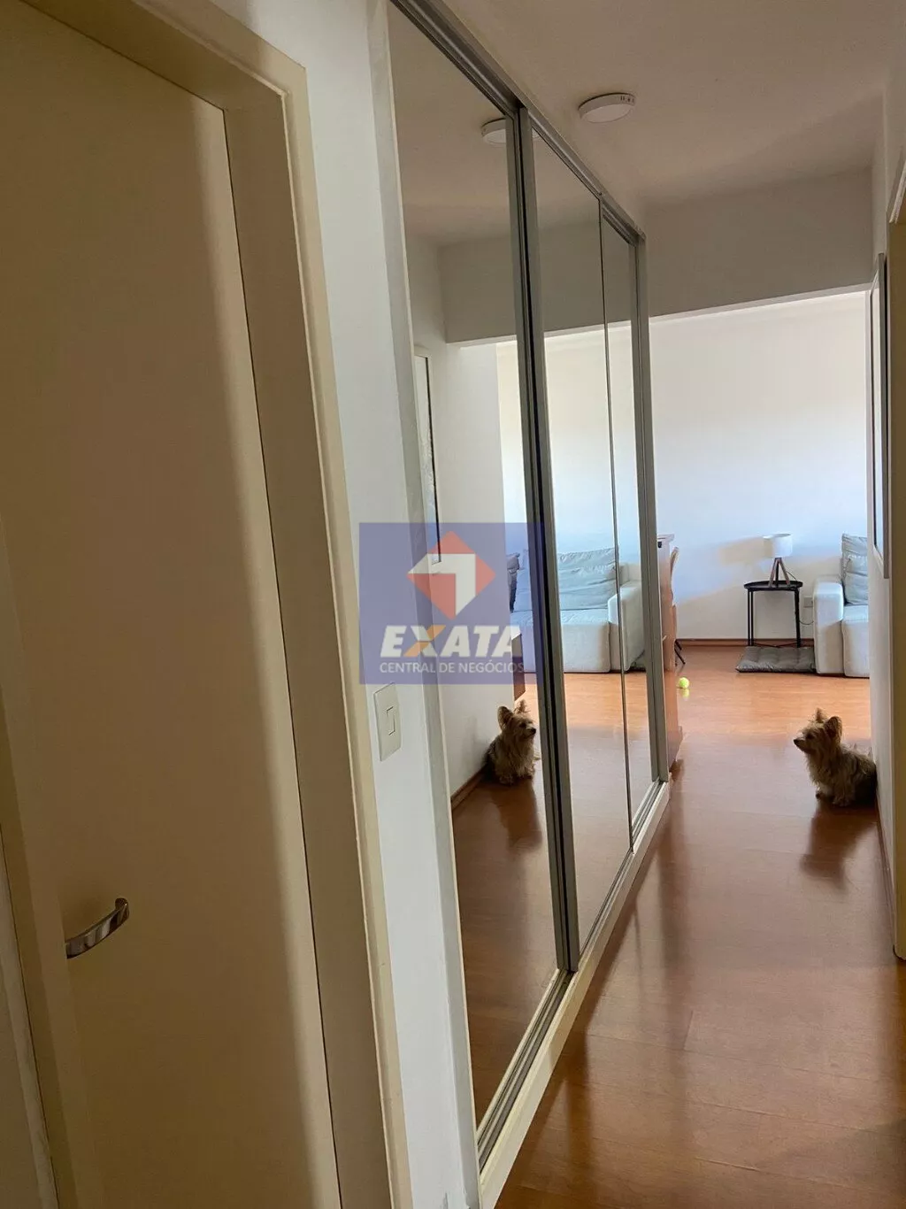 Apartamento à venda com 3 quartos, 90m² - Foto 17