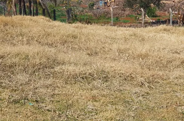 Terreno Plano Bairro Industrial II 482,20m²