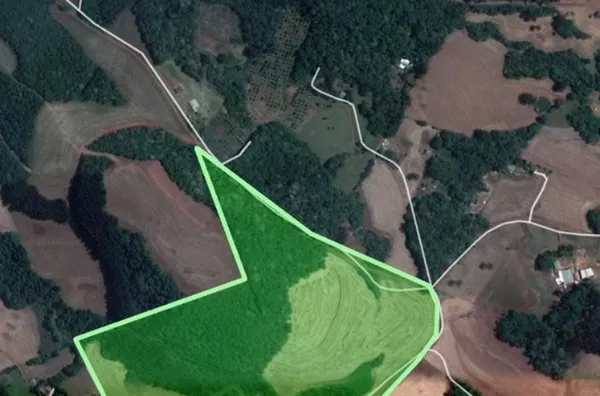 10.5 Alqueires de Terra - Fazenda da Barra Pato Branco