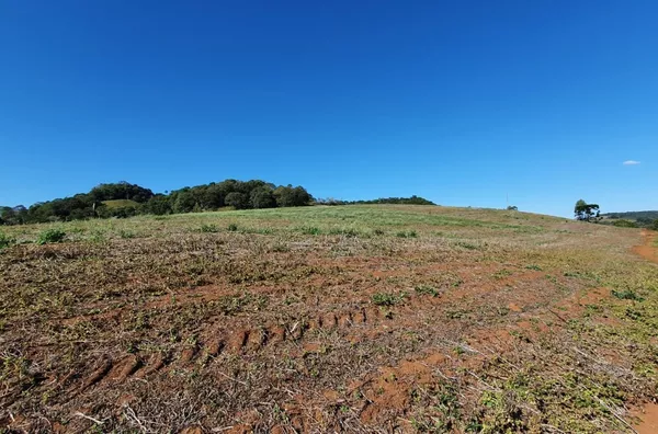  venda, Área Rural, Clevelândia