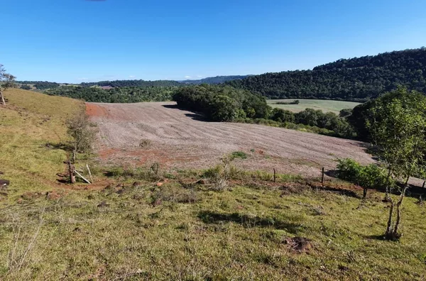 venda, Área Rural, Clevelândia