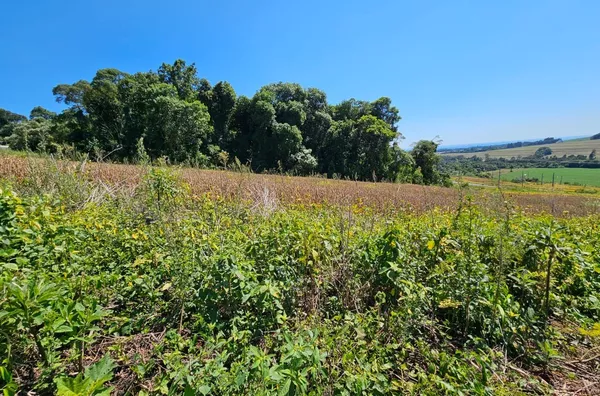 Terreno para venda,  São Luiz, Pato Branco