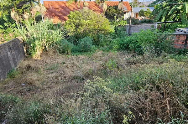 Terreno para venda,  Menino Deus, Pato Branco