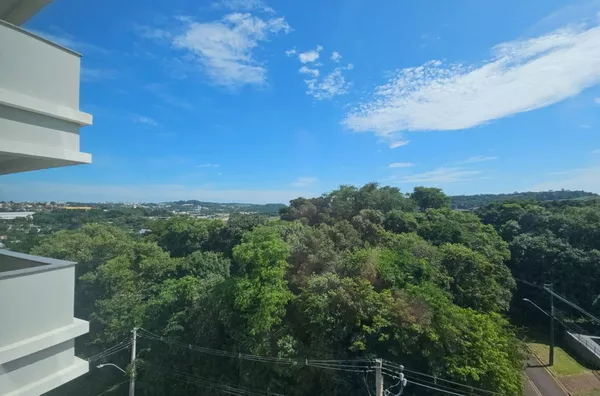 vista  mata em frente