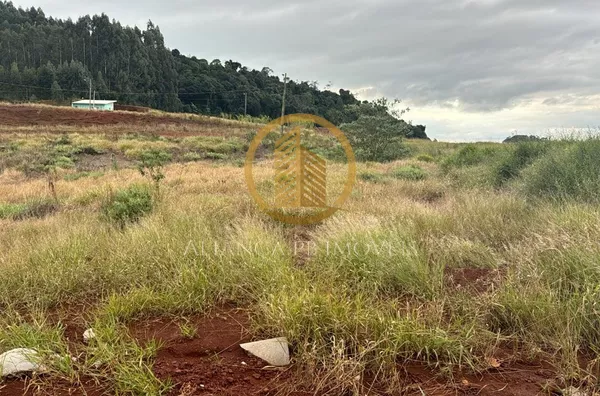 Terreno para venda,  , Vitorino