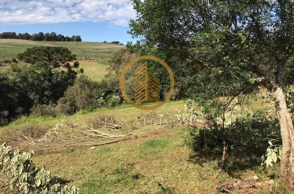 Chácara para venda,  Gralha Azul, Pato Branco