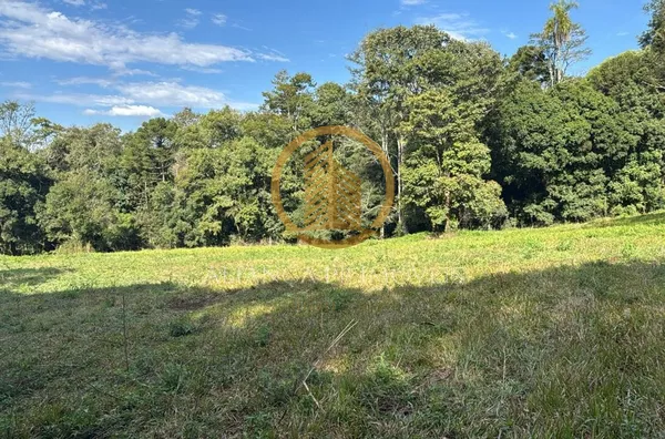 Chácara para venda,  Fazenda Da Barra, Pato Branco