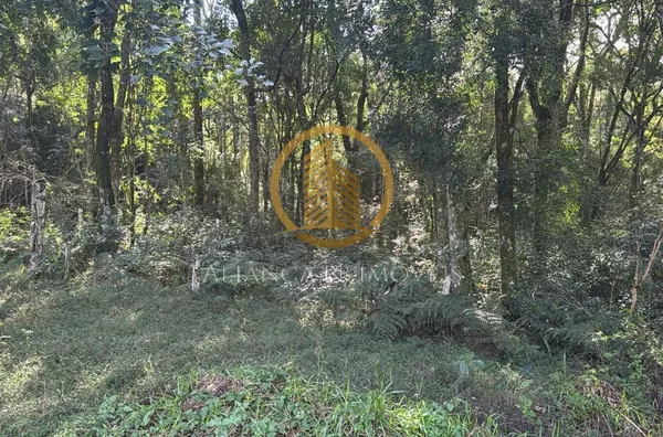 Chácara para venda,  Fazenda Da Barra, Pato Branco