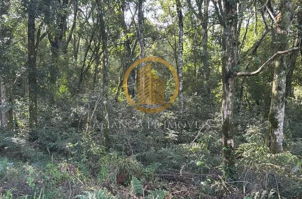 Chácara para venda,  Fazenda Da Barra, Pato Branco