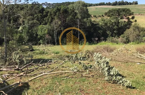 Chácara para venda,  Gralha Azul, Pato Branco