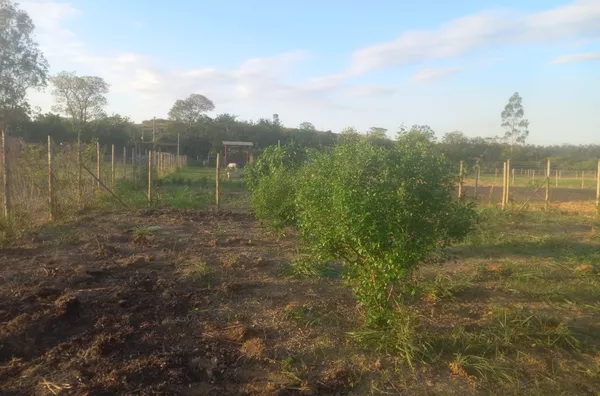 Chácara para venda - Cava Grande - Marliéria