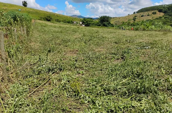 Lote para venda,  , Belo Oriente