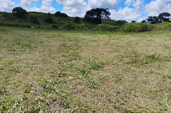 Lote para venda,  , Belo Oriente