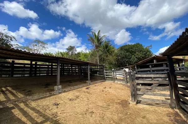 Fazenda para venda 3 quarto(s)  inhapim