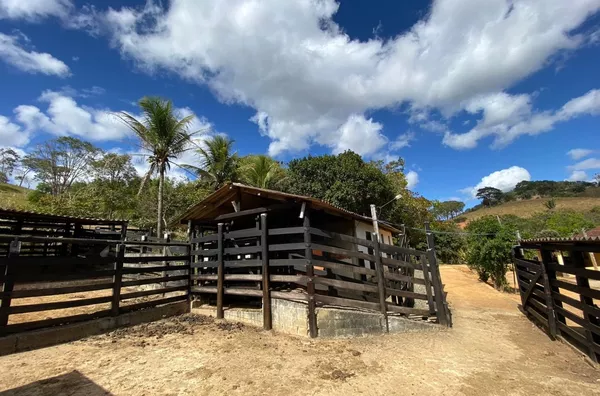 Fazenda para venda 3 quarto(s)  inhapim
