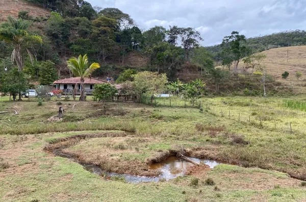 Fazenda para venda 5 quarto(s)  são domingos do prata