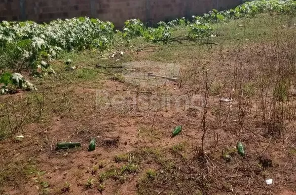 Terreno para venda, Jardim Planalto, Três Lagoas - Foto 1