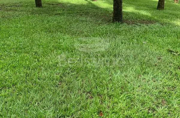 Rancho a 28km do trevo do shopping de Três Lagoas as margens do rio Sucuriú