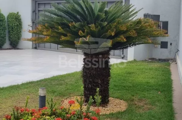 Linda Casa em Três Lagoas. Hall de entrada, asa de 3(rês) quartos, sendo uma com closet, Banheiro social, 01(uma) sala de esta, 01(uma) sala de jantar, 01 (uma) cozinha com armários planejados, 02(dois)depósitos, 01 (uma) Lavanderia coberta, Área Gourmet,