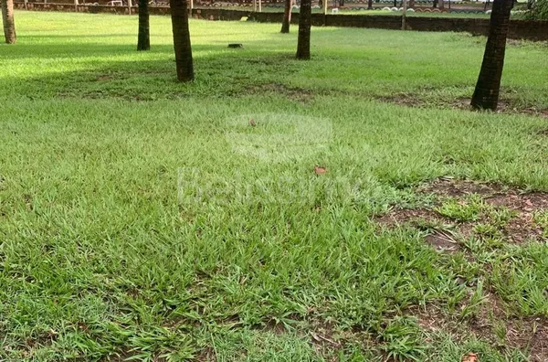 Rancho a 28km do trevo do shopping de Três Lagoas as margens do rio Sucuriú