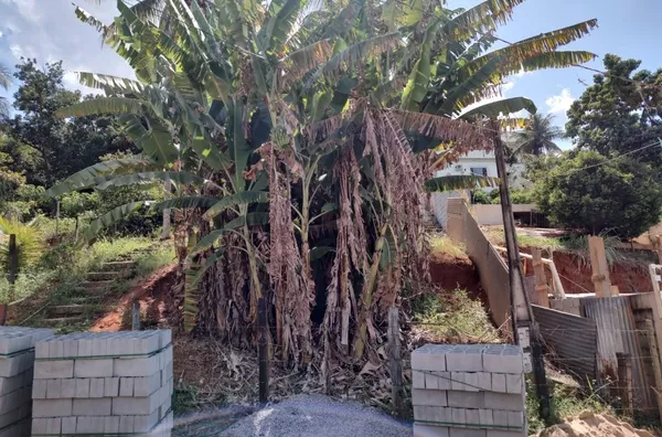 Casas com Lote de 523,00 m2 no Bairro Paraíso Cachoeiro de Itapemirim