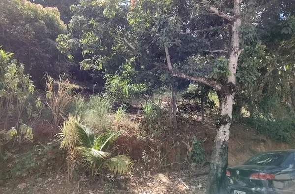 Terreno de 481,26 m2, para venda Paraíso Cachoeiro de Itapemirim