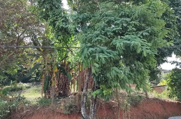 Terreno de 551,34 m2, para venda Paraíso Cachoeiro de Itapemirim