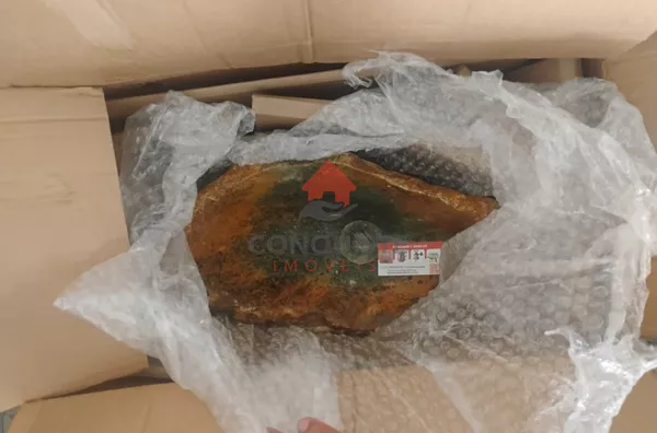 Apartamento pra Locação Elev Brás, São Paulo - Foto 1