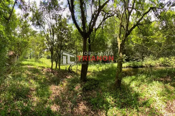 ÁREA DE TERRAS URBANA - BAIRRO BRASÍLIA - Foto 5