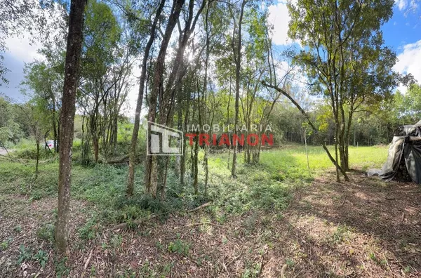 TERRENO PLANO COM 1.462,95m² À VENDA NO BAIRRO CHÁCARAS - Foto 4