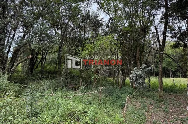 TERRENO PLANO COM 1.462,95m² À VENDA NO BAIRRO CHÁCARAS - Foto 2