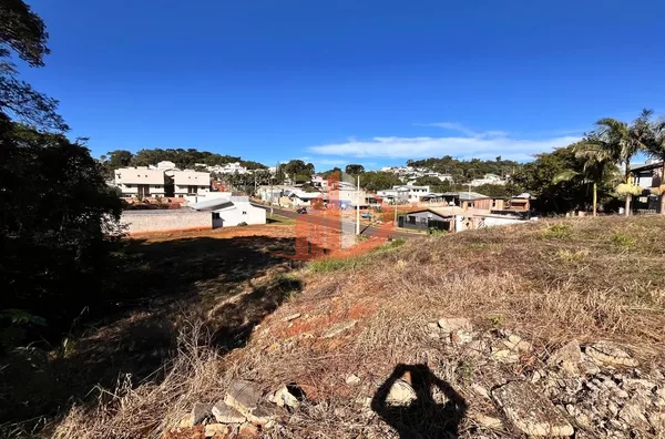 TERRENO À VENDA NO BAIRRO CADORIN EM PATO BRANCO/PR - Foto 5