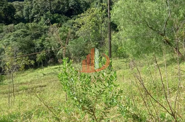 CHÁCARA COM 2,5 ALQUEIRES À VENDA EM VITORINO/PR - Foto 35