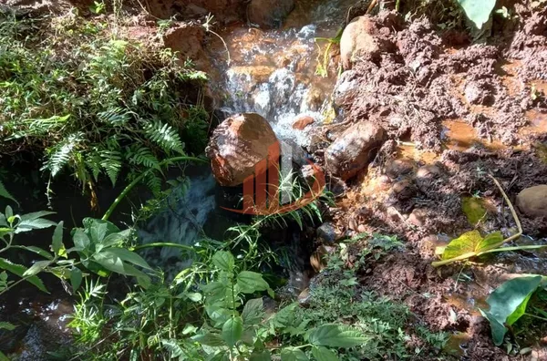 CHÁCARA COM 2,5 ALQUEIRES À VENDA EM VITORINO/PR - Foto 45